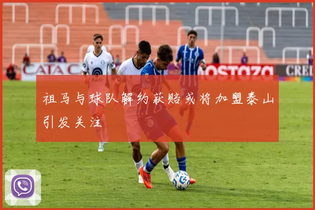 祖马与球队解约获赔或将加盟泰山引发关注